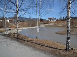 Vei langs dam